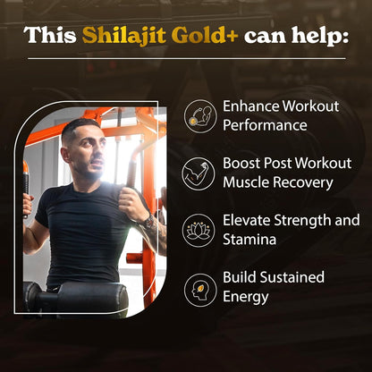 GOLD+ Shilajit Capsules